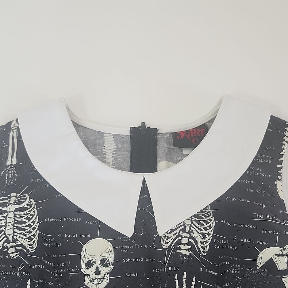 Modcloth Rad To The Bone Retro A-line Dress - Picture 6 of 10
